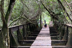 Ponte de ferro de 20 metros é furtada em Prados